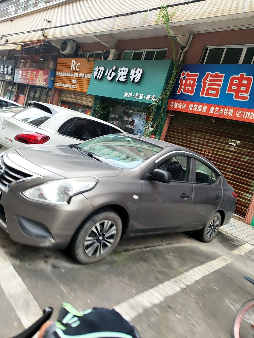 初心宠物(新濠华庭店)