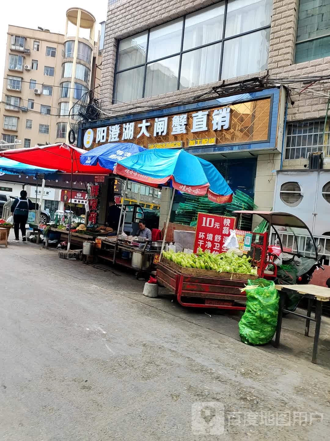 阳澄湖大闸蟹直销