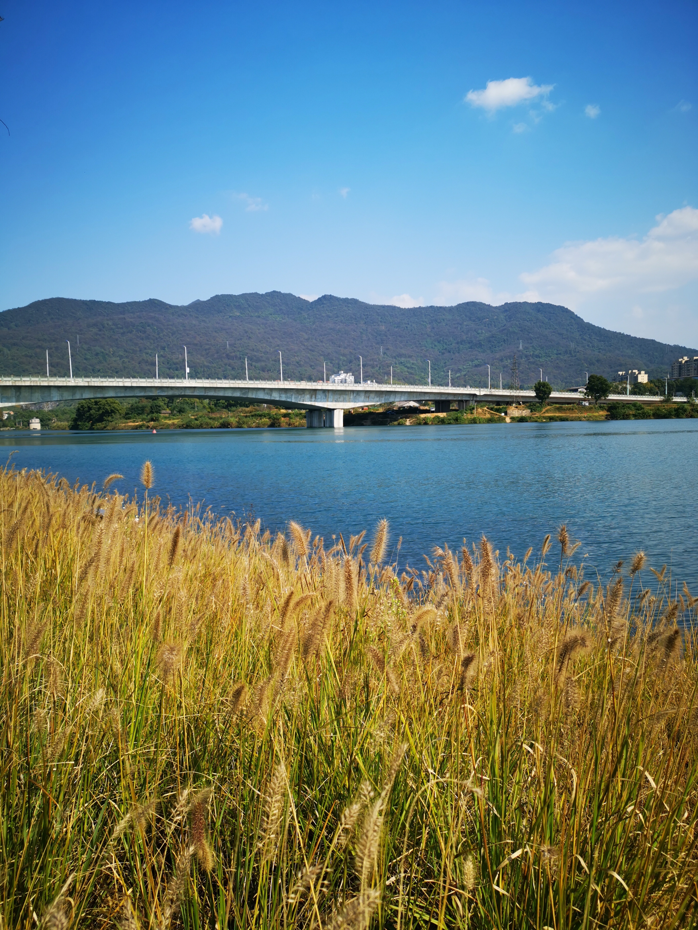 东江湾城市公园