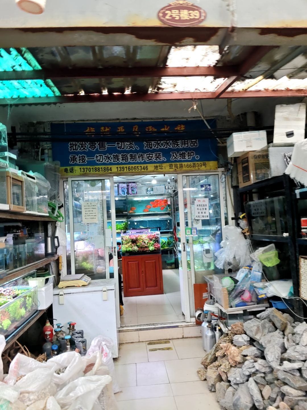 梅陇亚马逊水族(梅陇花鸟市场店)