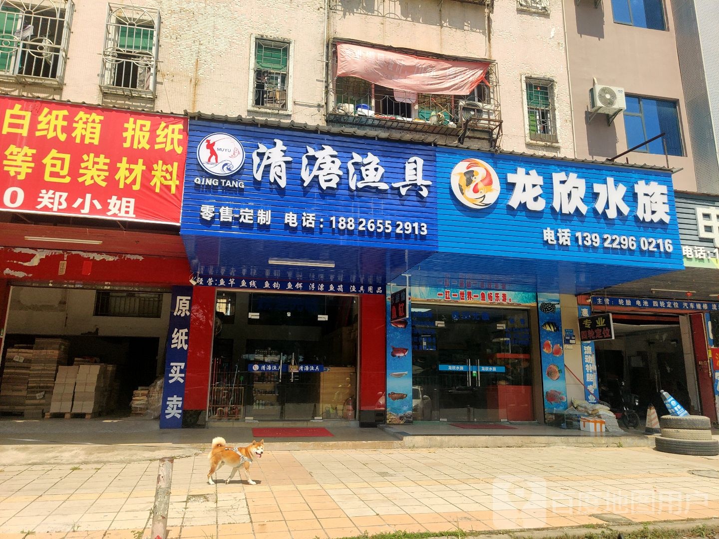 清塘渔具