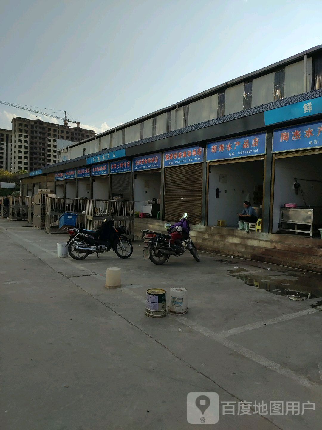 郭涛水产批店(北部商业城店)