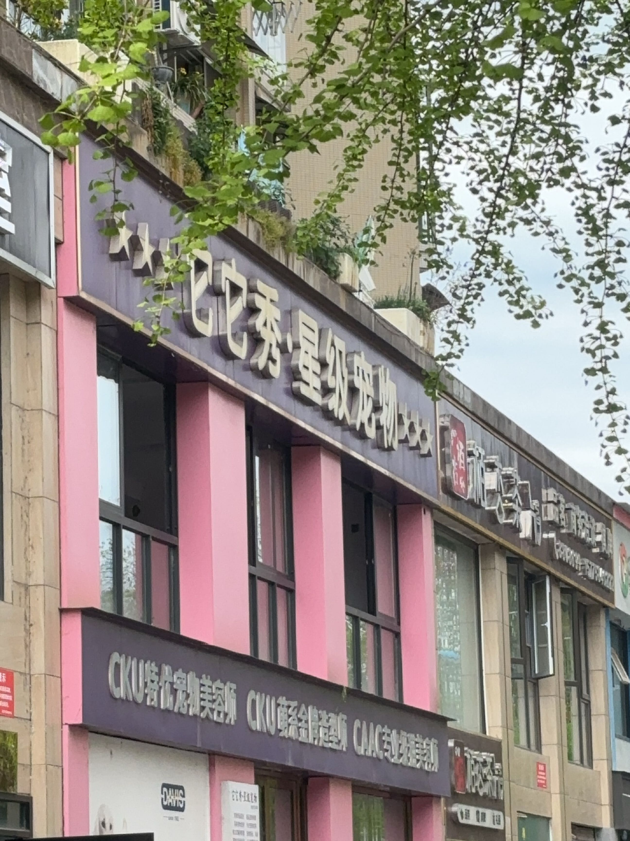 它它秀·星级宠物(龙川半岛店)