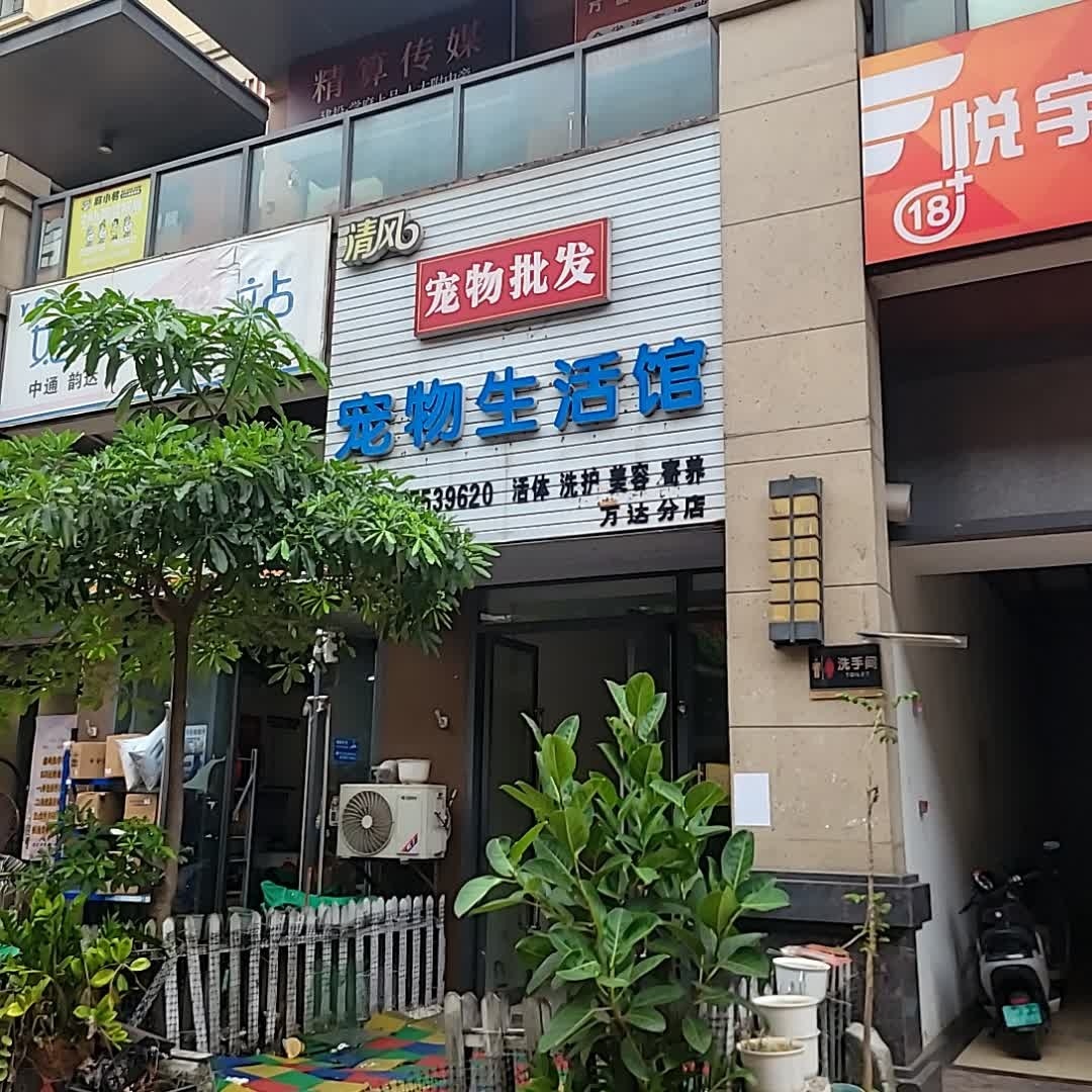 清风宠物生活馆(万达分店)