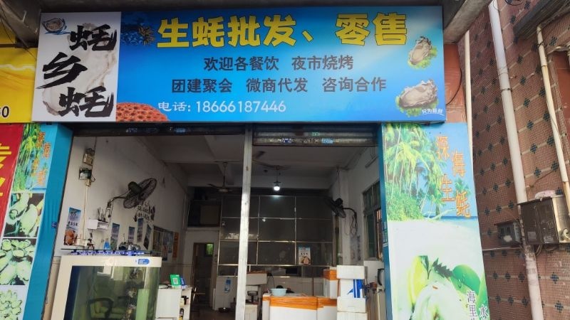 蚝乡蚝生蚝批发