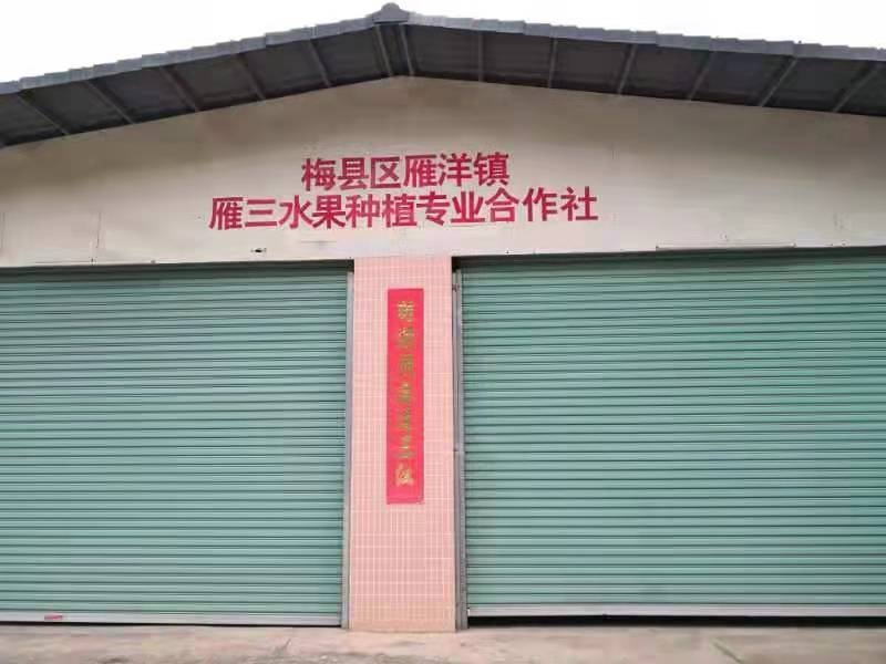 广东省梅州市梅县区雁洋镇雁三水果种植专业合作社