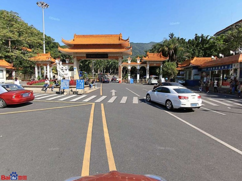 深圳仙湖植物园-珍稀树木园