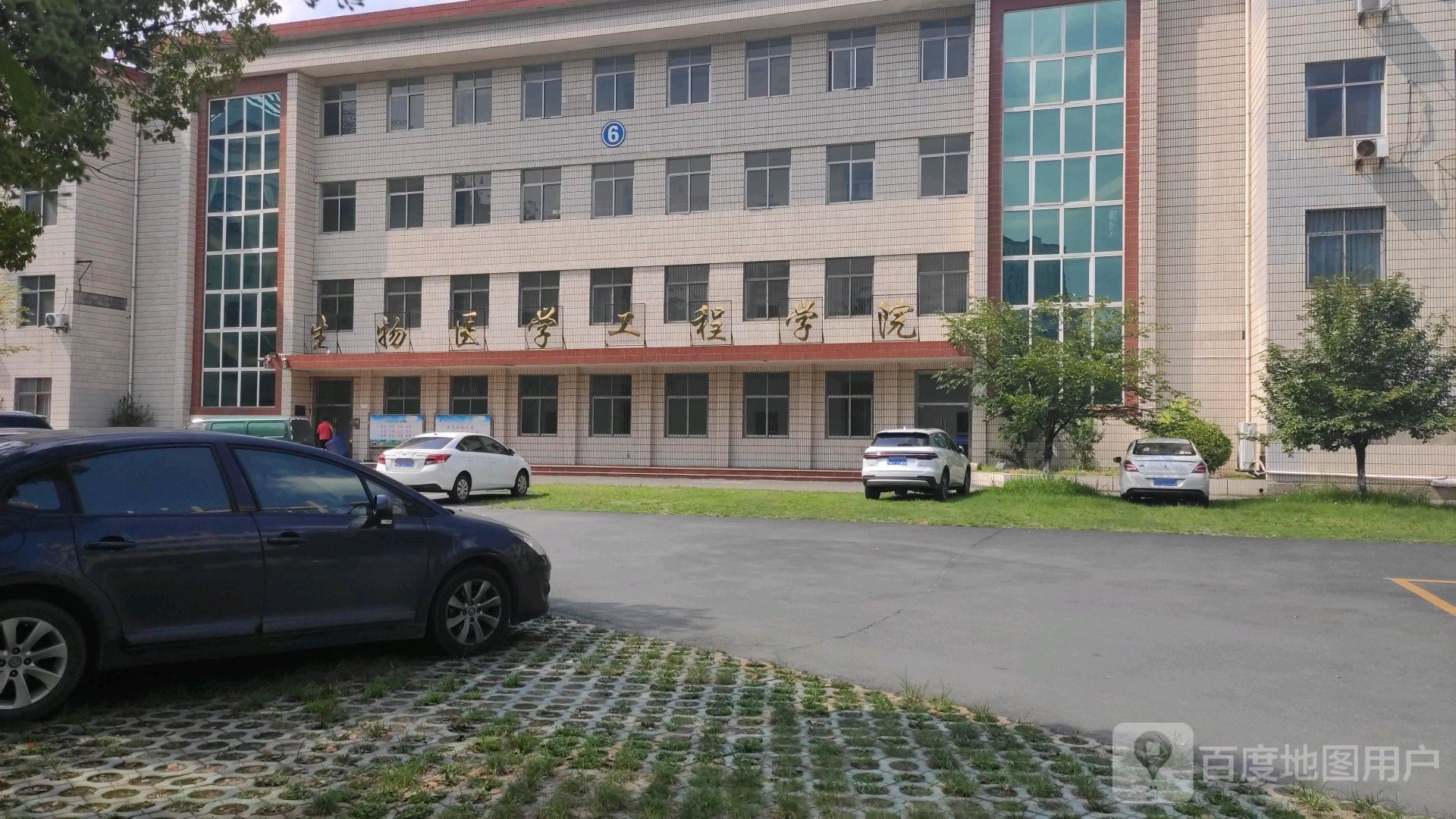 湖北医药学院-生物医学工程学院