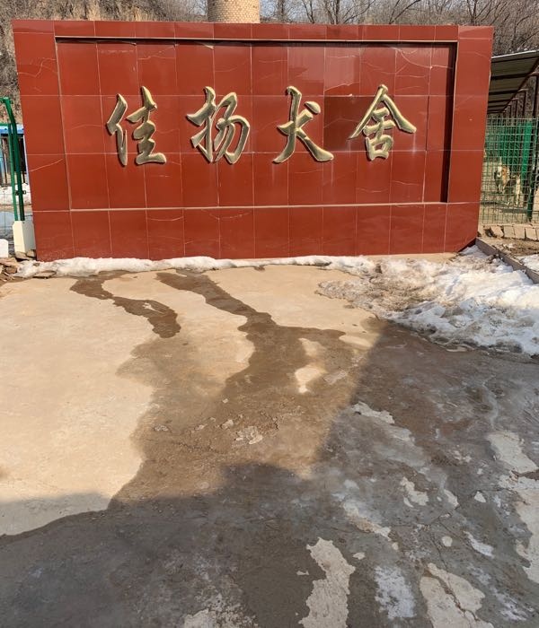佳扬犬舍