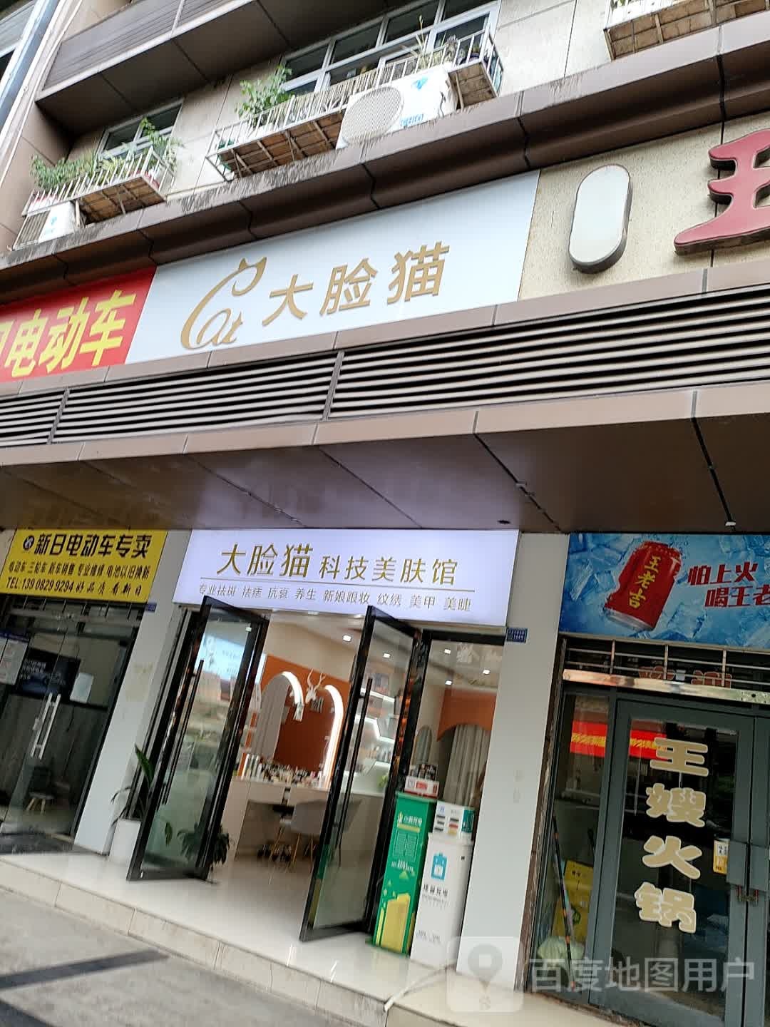 大脸猫美妆
