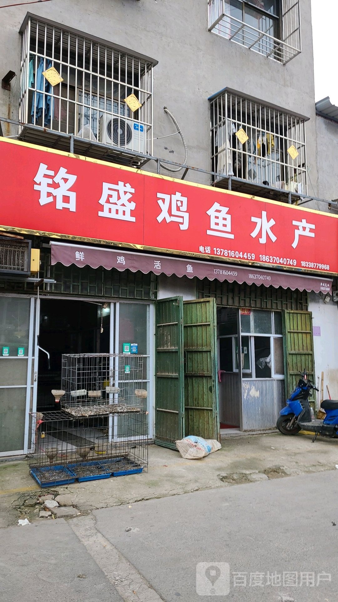 铭盛鸡鱼水产