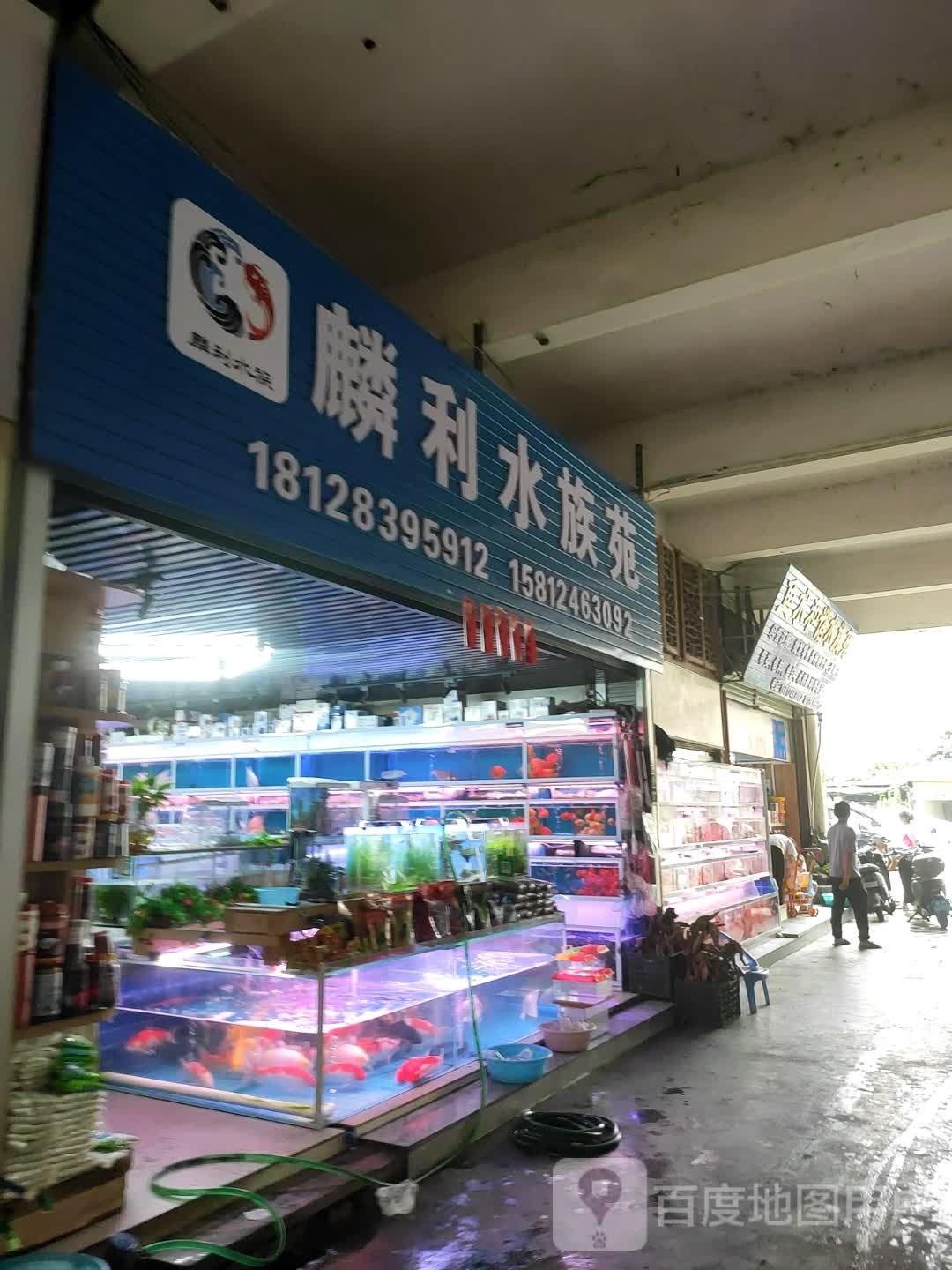 鱼水和谐水族苑