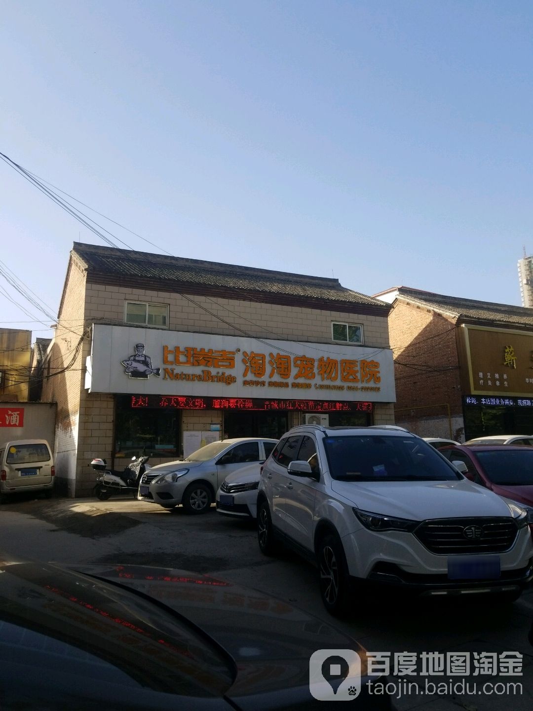 淘淘宠物医院(文昌西街店)