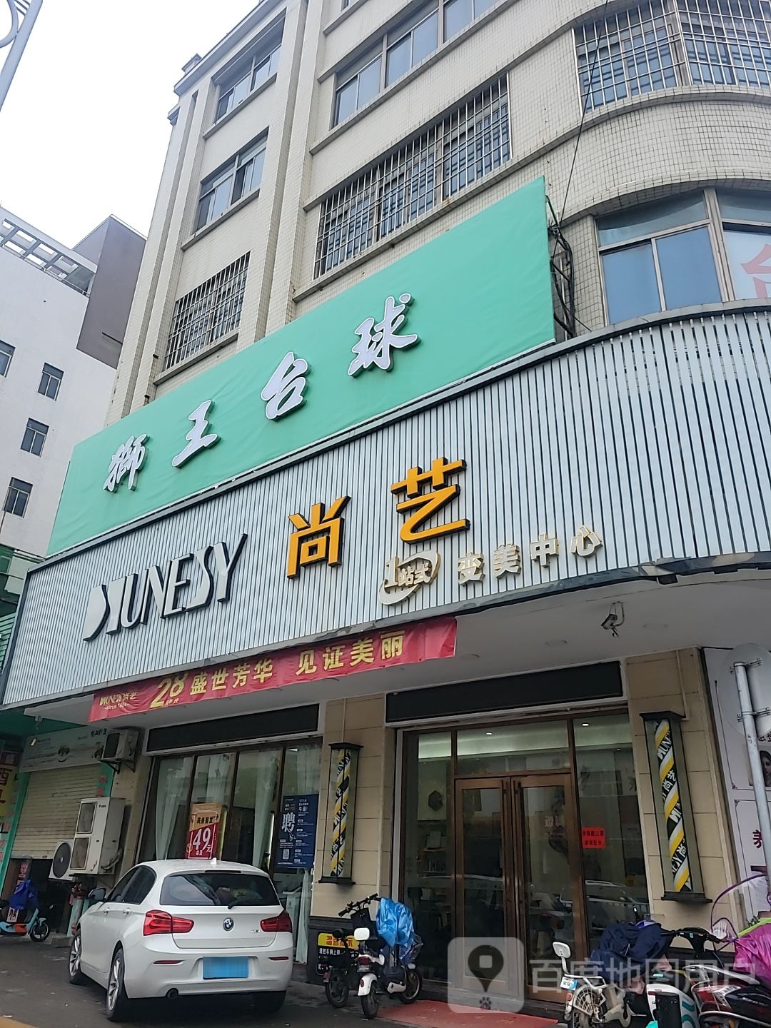 狮王台球