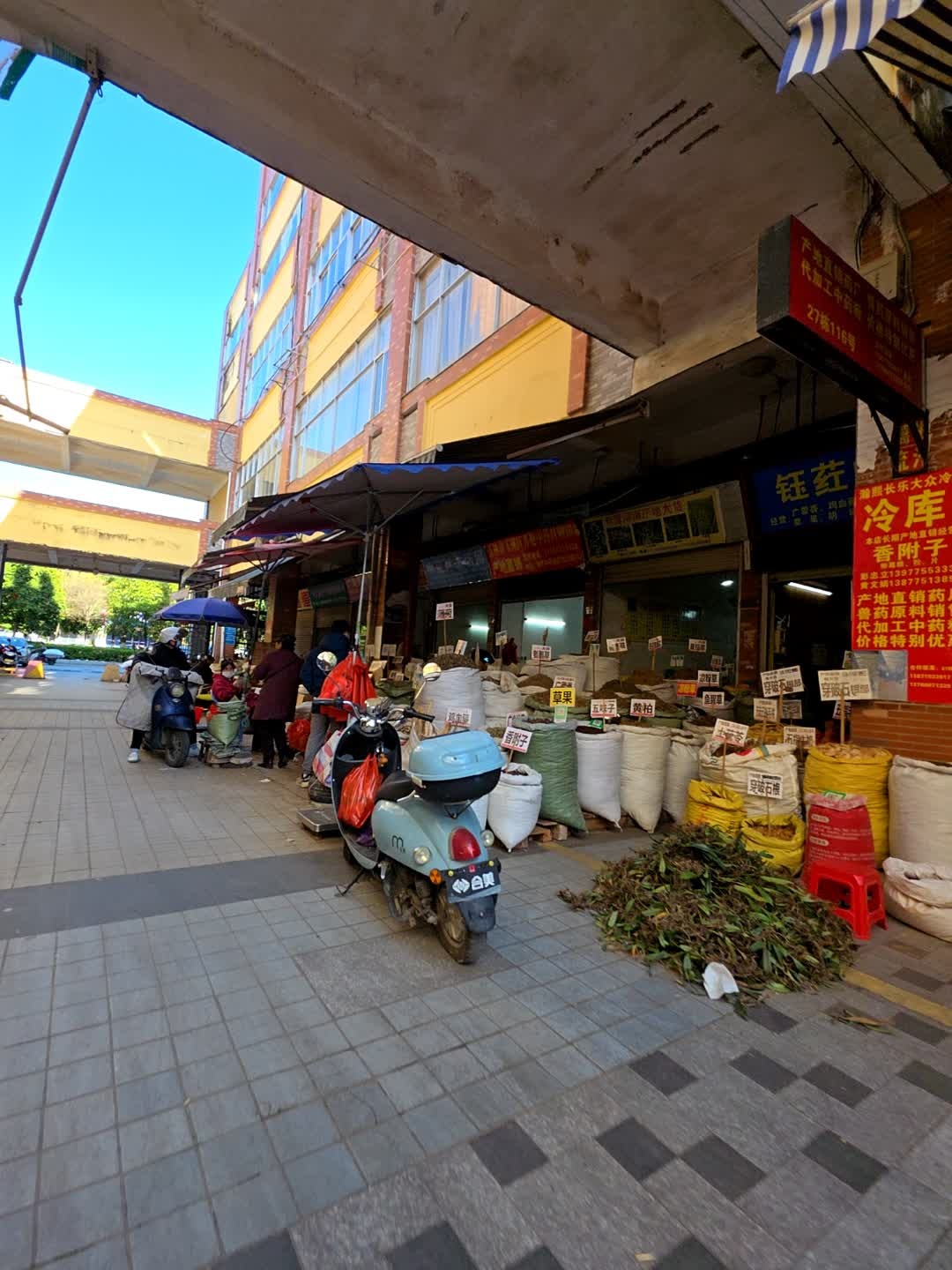 专营河南产地大货