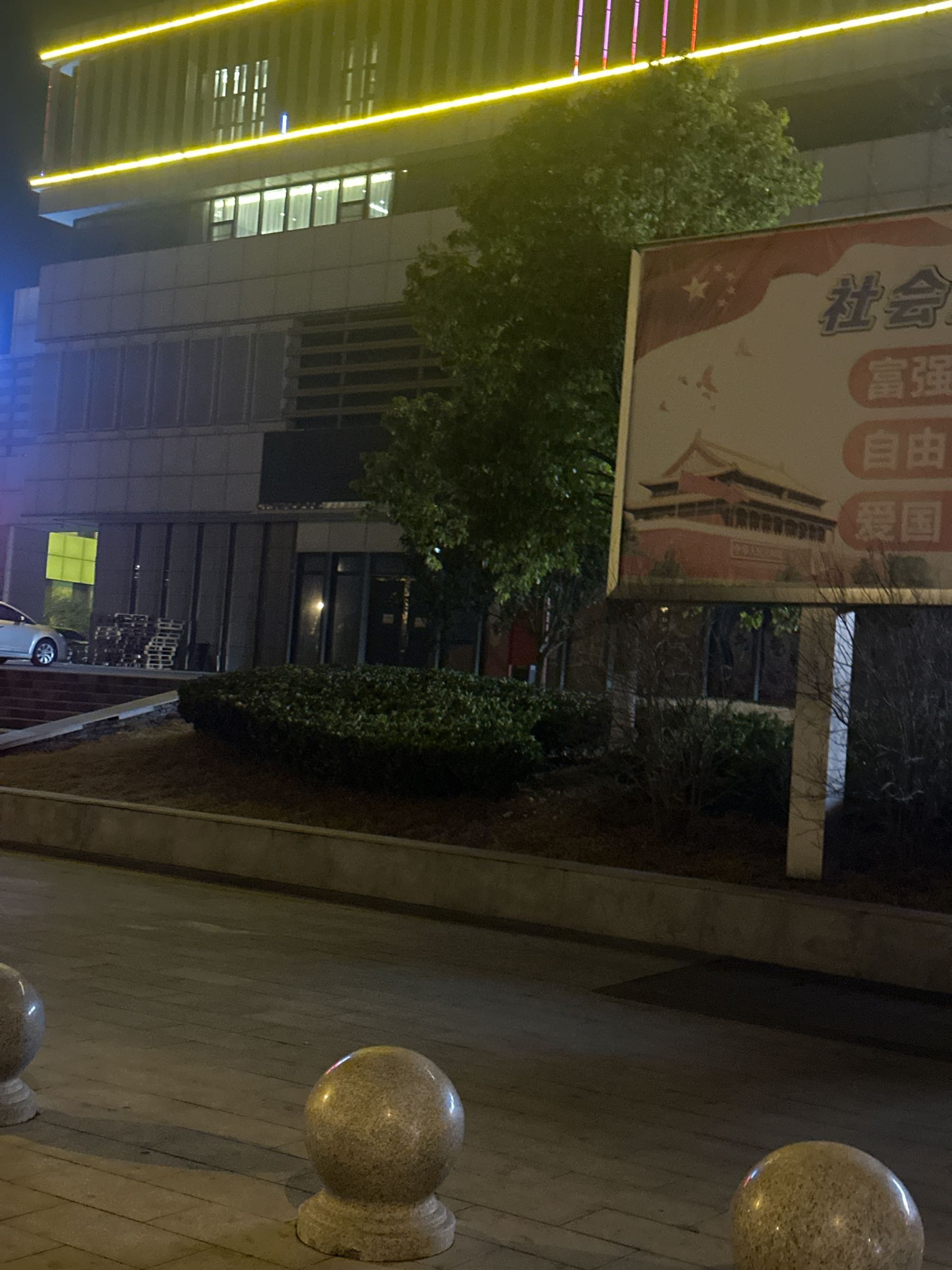 豆芽鲜果(南站店)