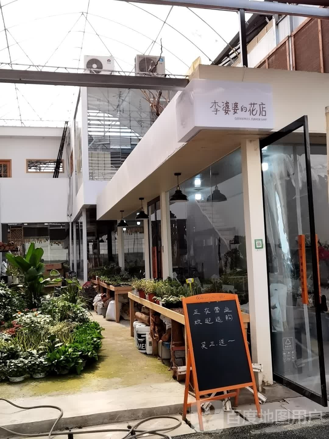 李婆婆的花店