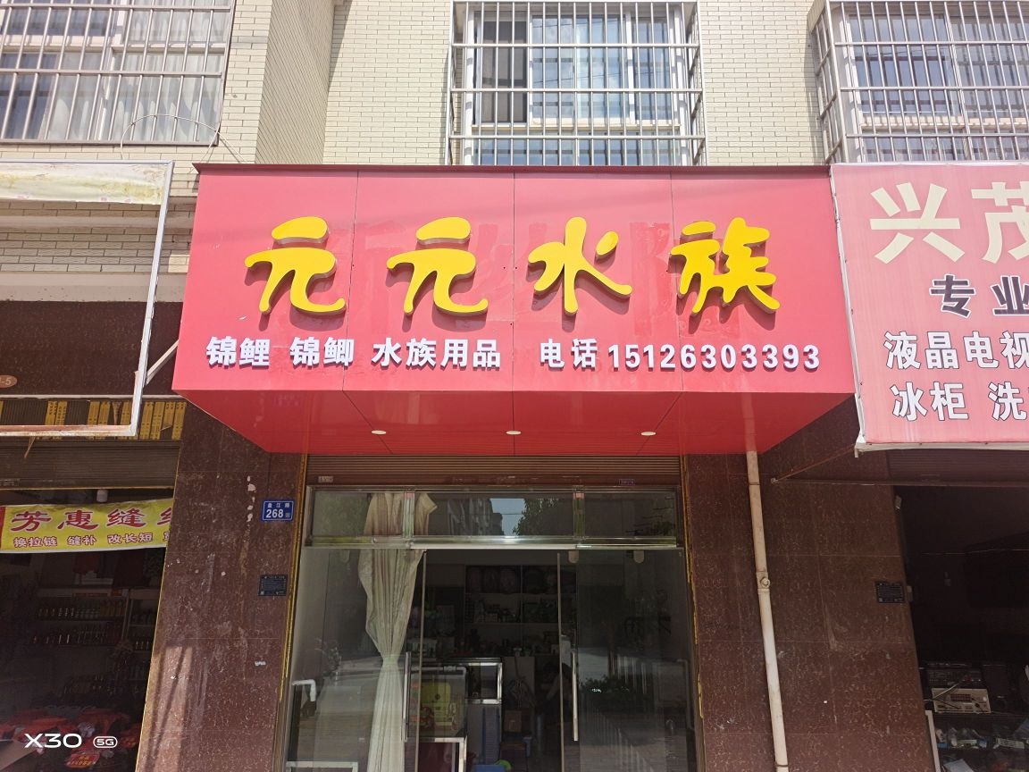 元元水族