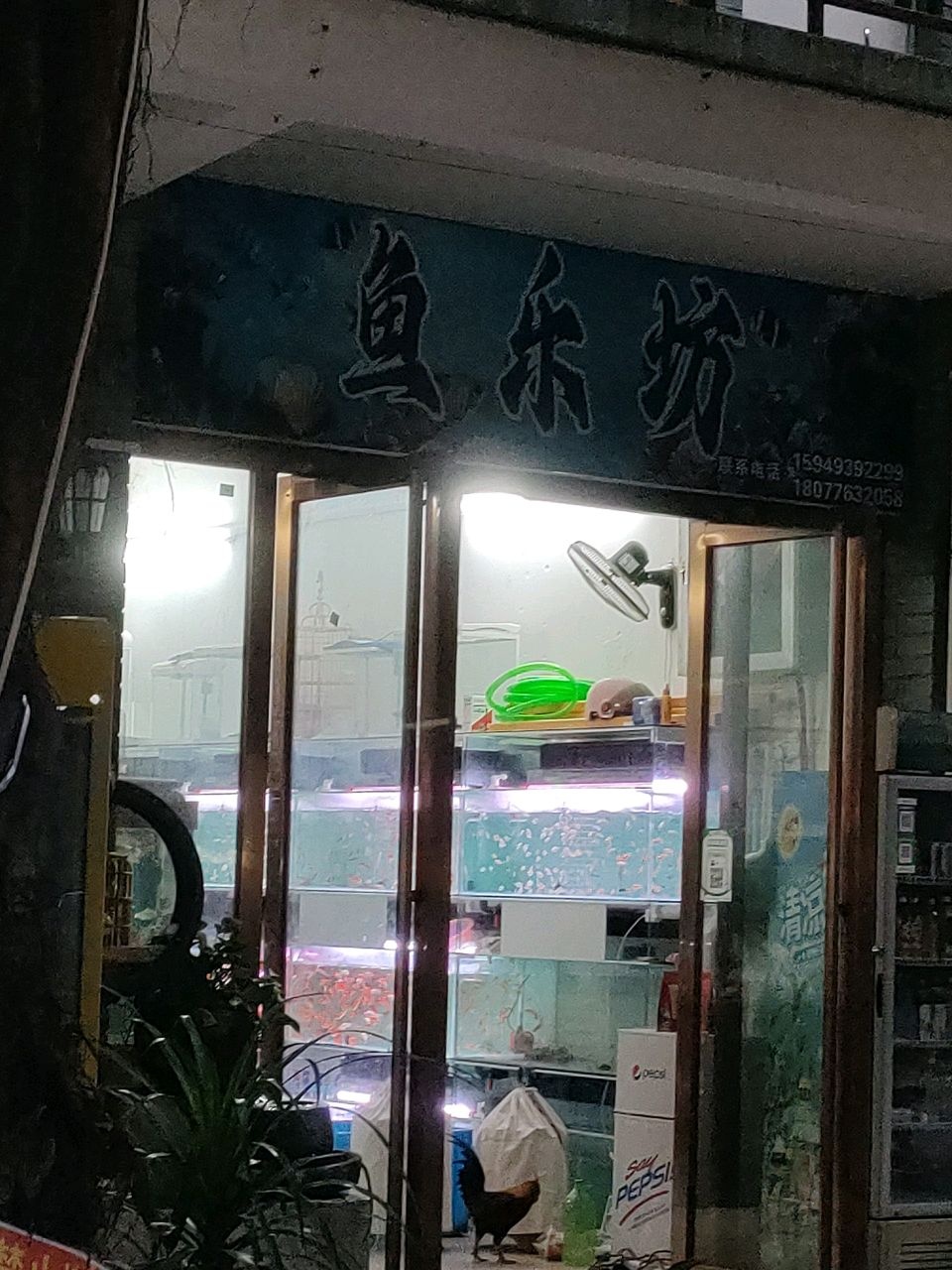 鱼乐坊(古城店)文轩苑17-1