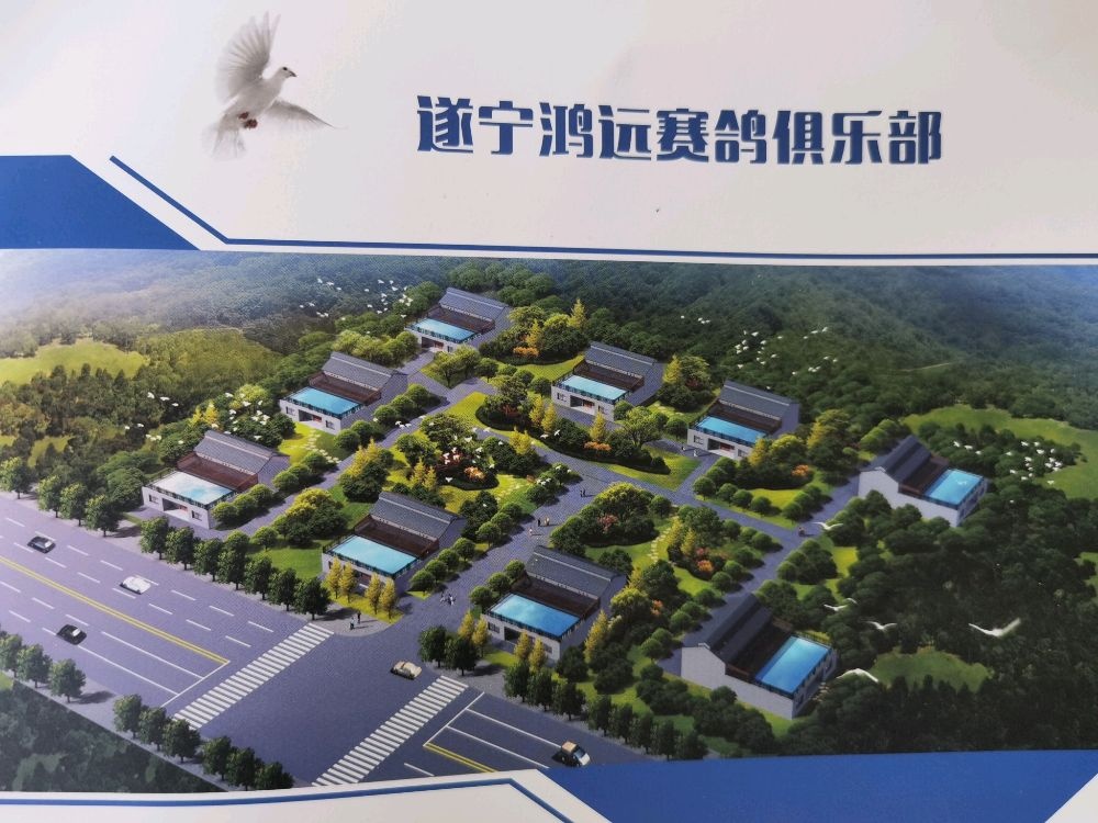 遂宁鸿远赛鸽俱乐部