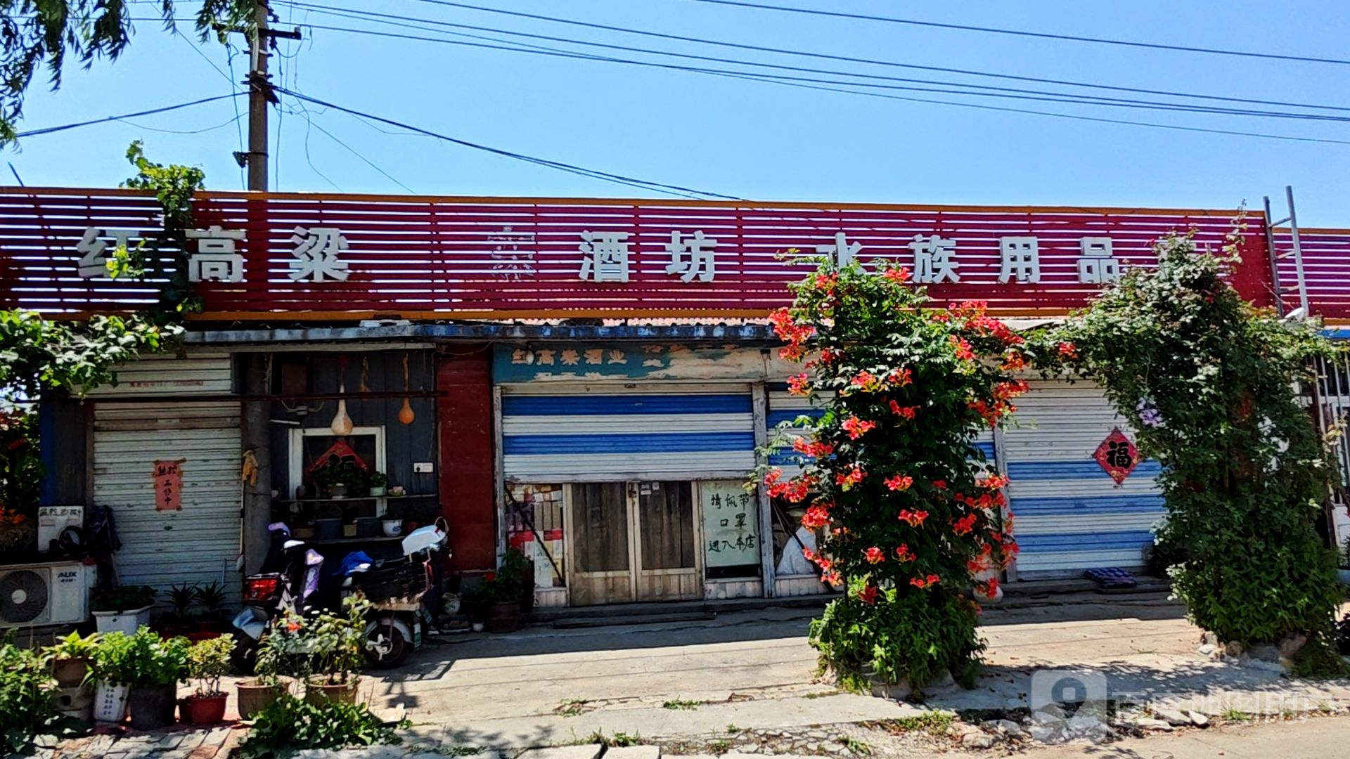 水族馆用店