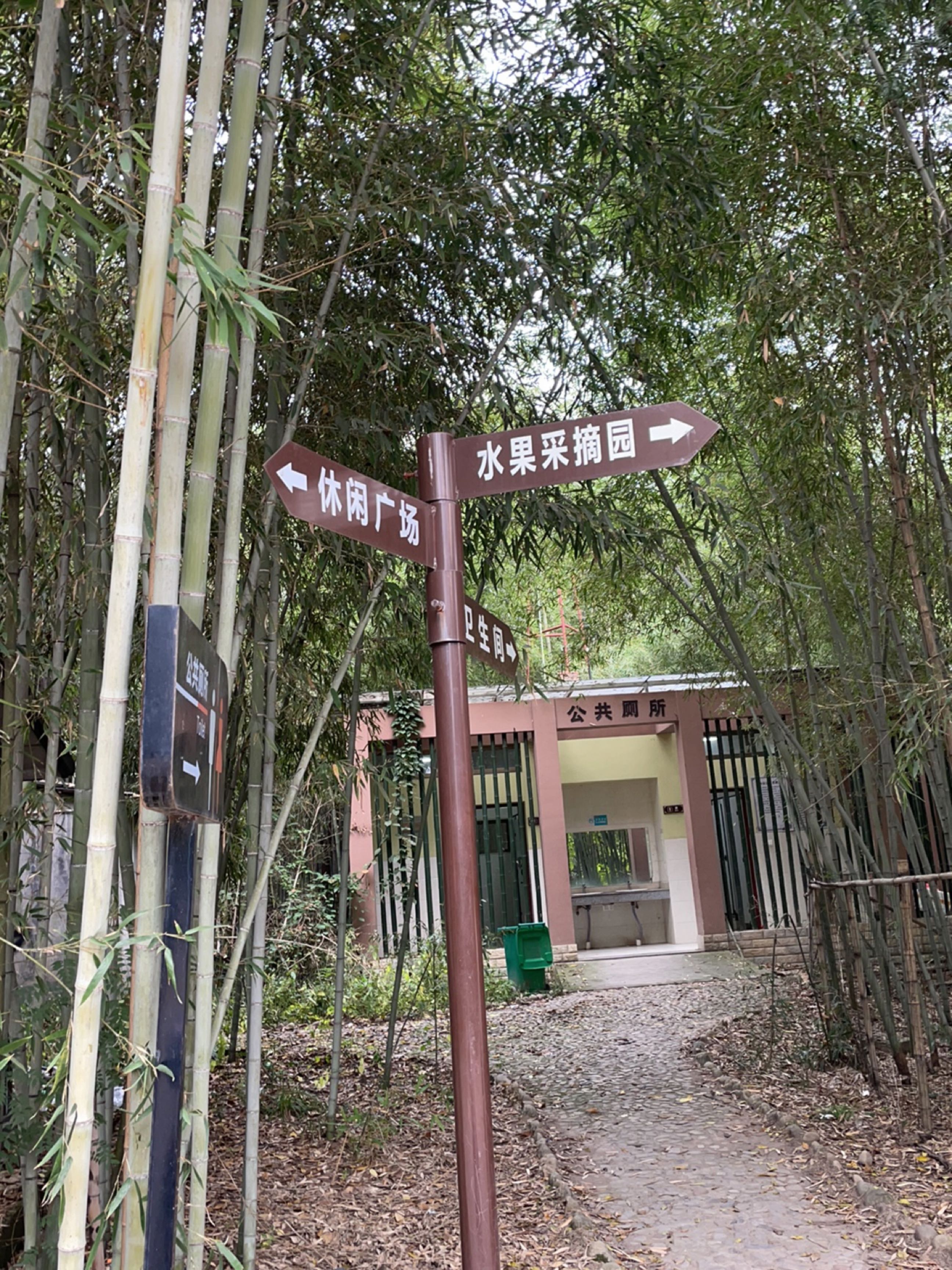 水果采摘园