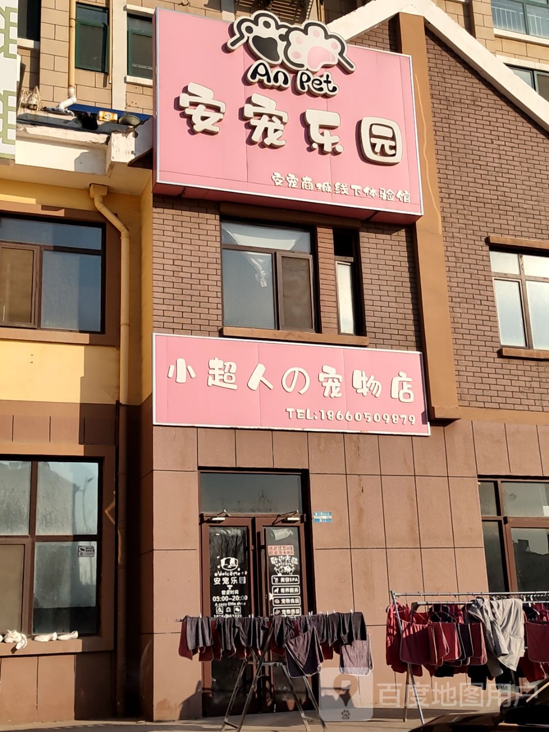 小超人之宠物店