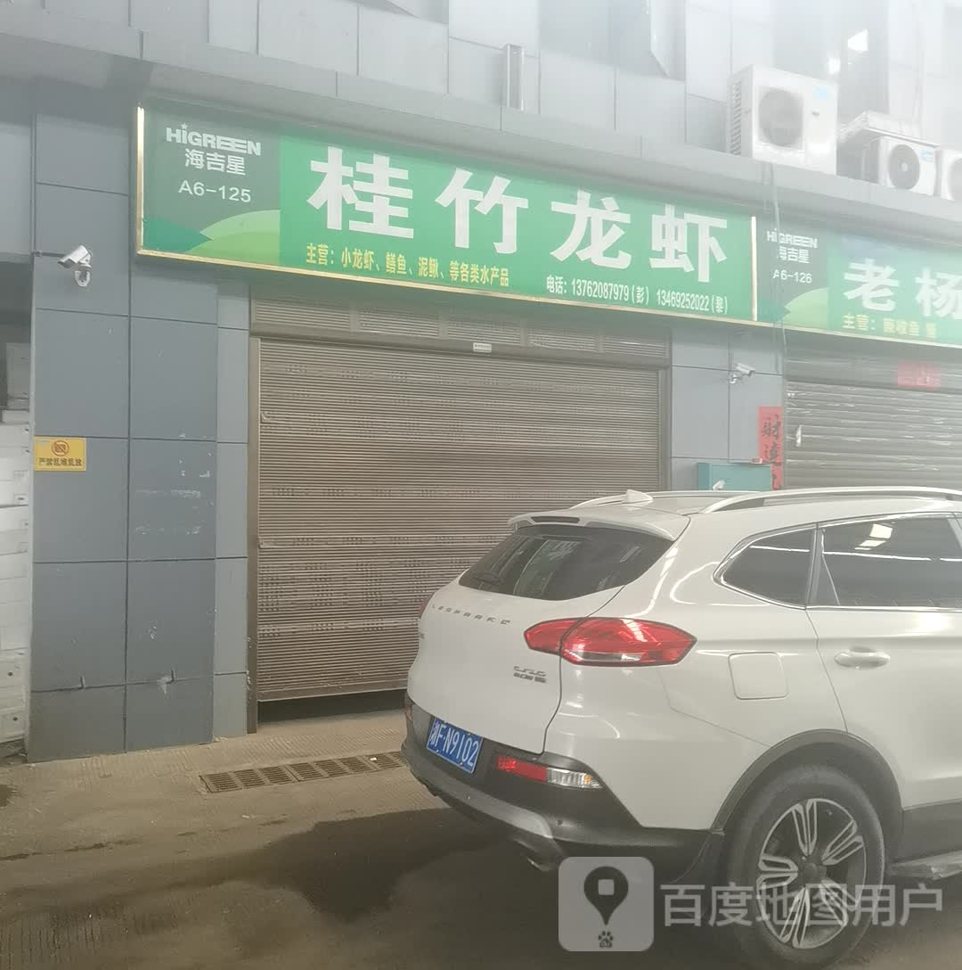 桂竹小龙