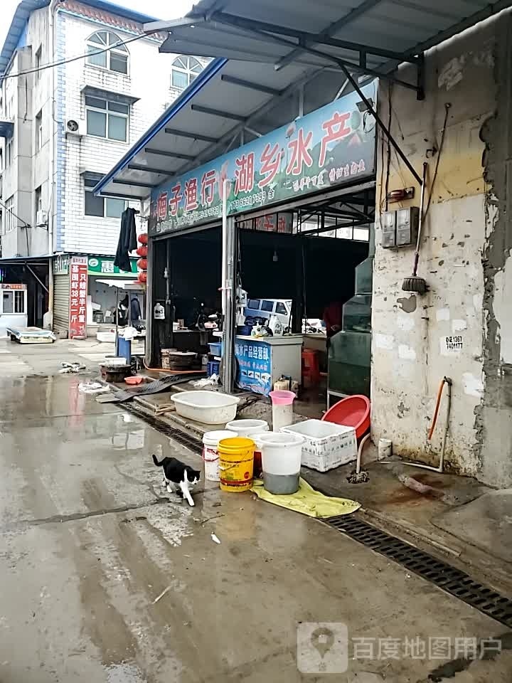 梅子渔行湖湖水产