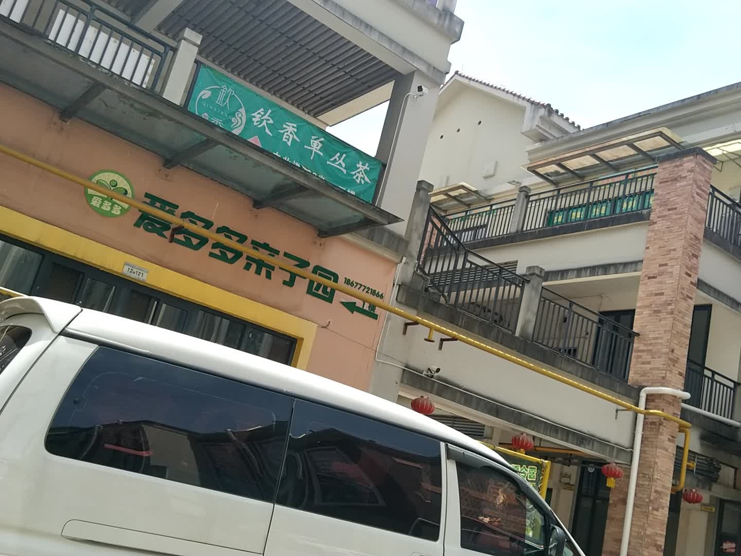 钦香单丛茶
