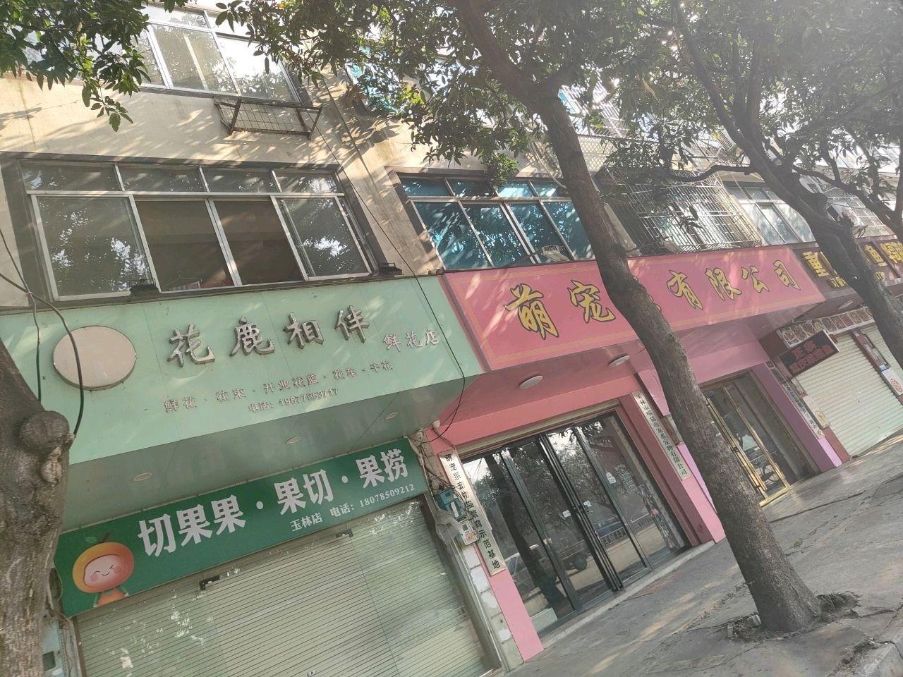 萌宠系(江滨店)