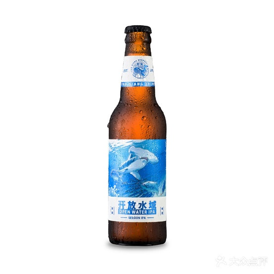 玩夫精酿酒馆(嘉峪关市五一南路店)