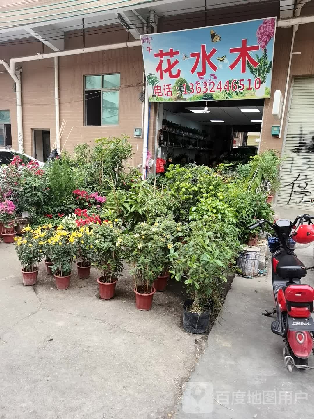 千花水木