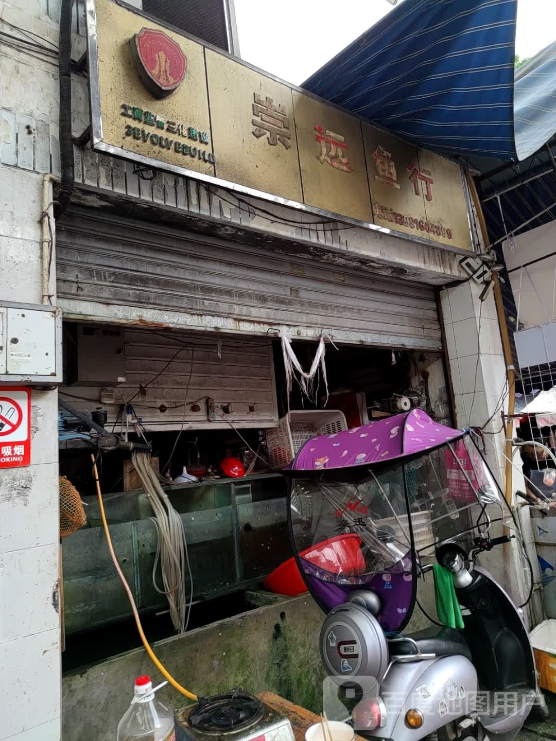 崇远鱼行