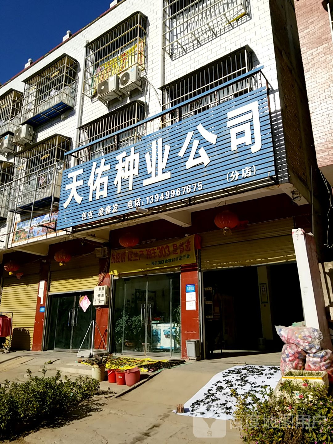 河南省天佑种业公司(分店)