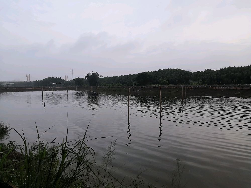 吹水欢乐海钓场