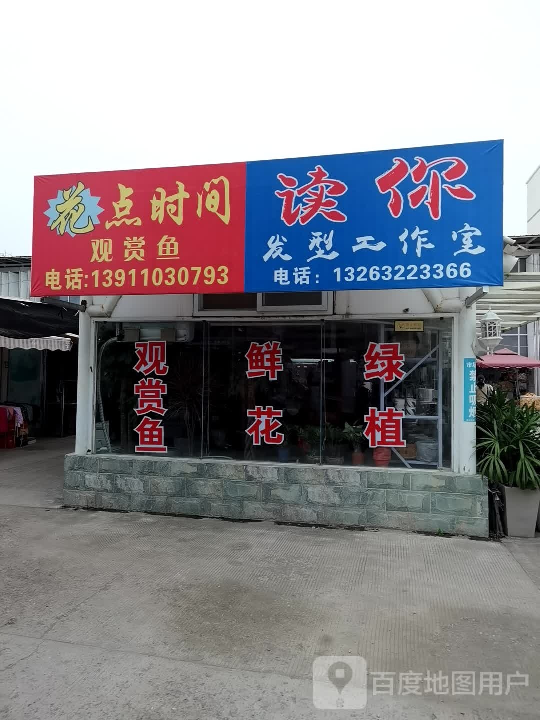 花点时间观赏鱼