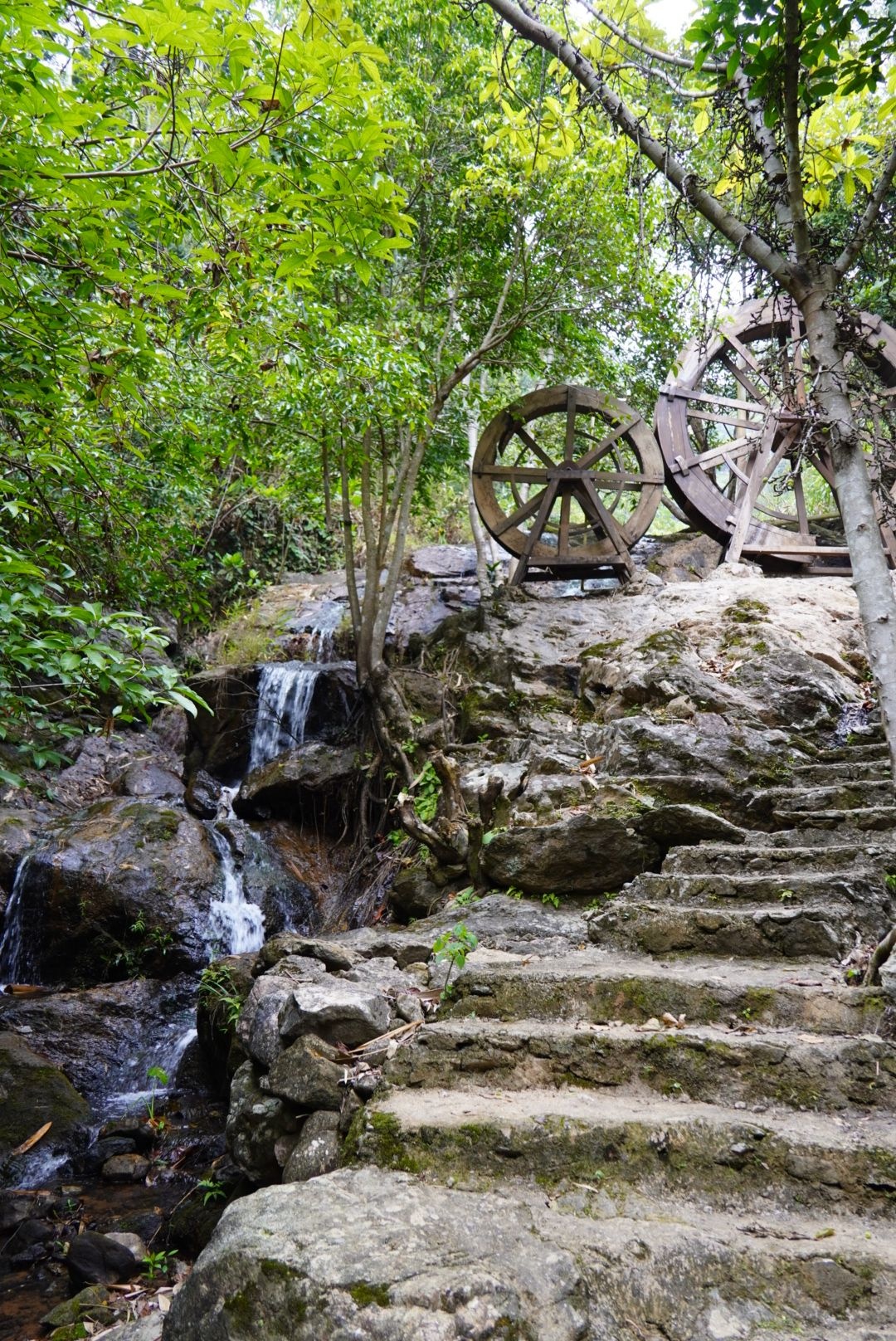 大云雾山旅游区