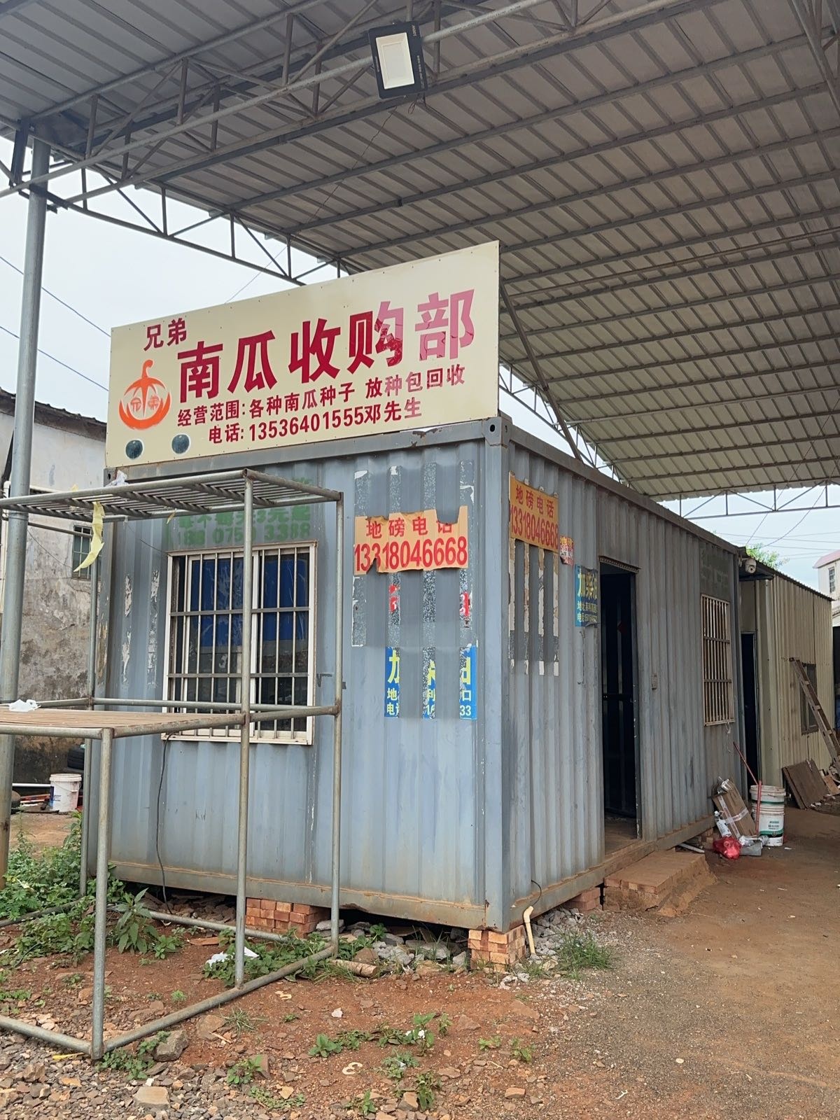 兄弟南瓜收购部