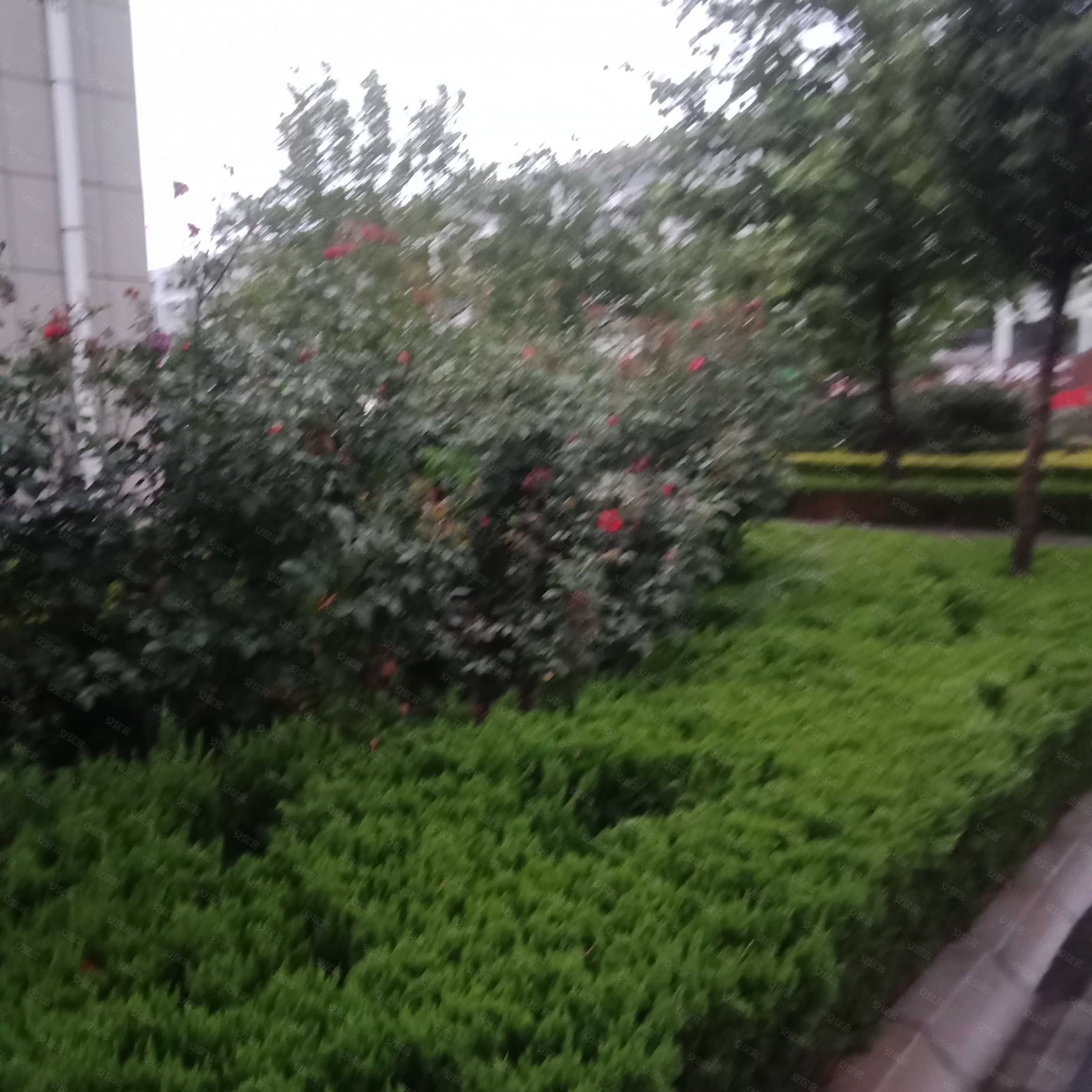 东海黄金海岸东海名居-D区