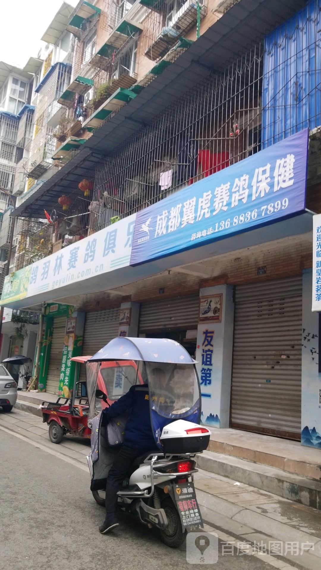 鸽羽林赛鸽俱乐部