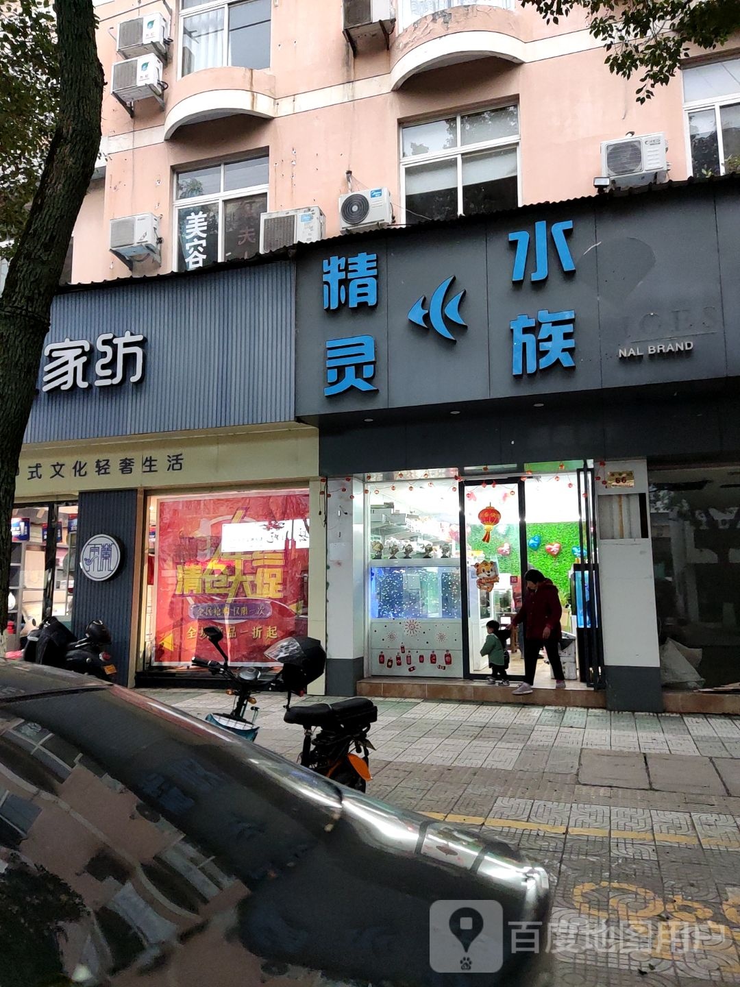 精灵水族