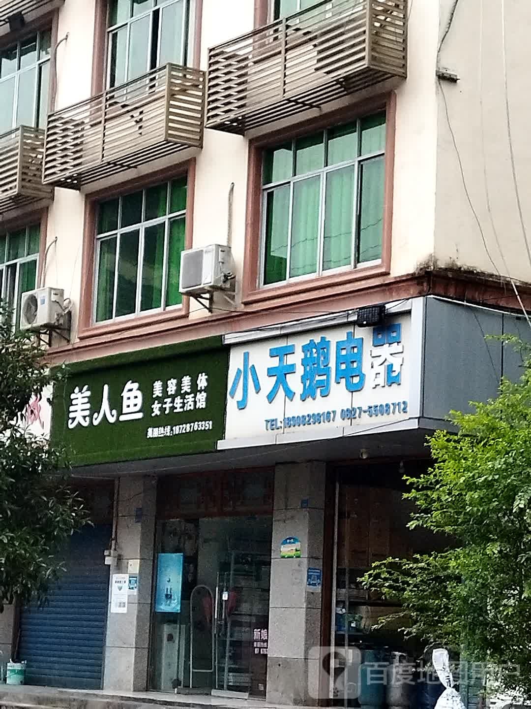 美人鱼