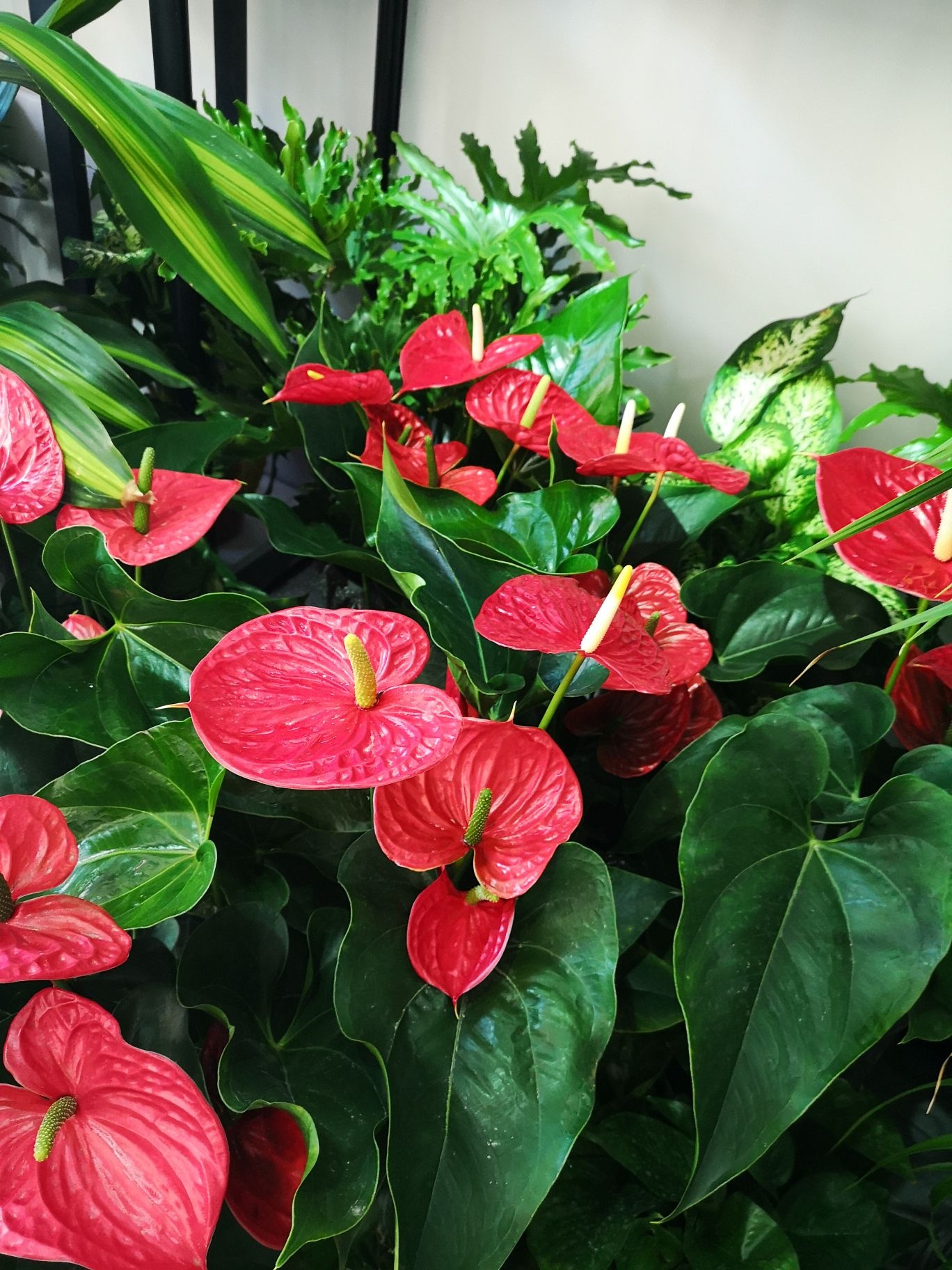 氧花商行(天山熙湖二区店)