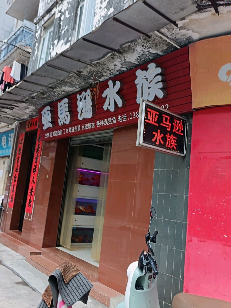 亚马逊水族(桥峰路店)