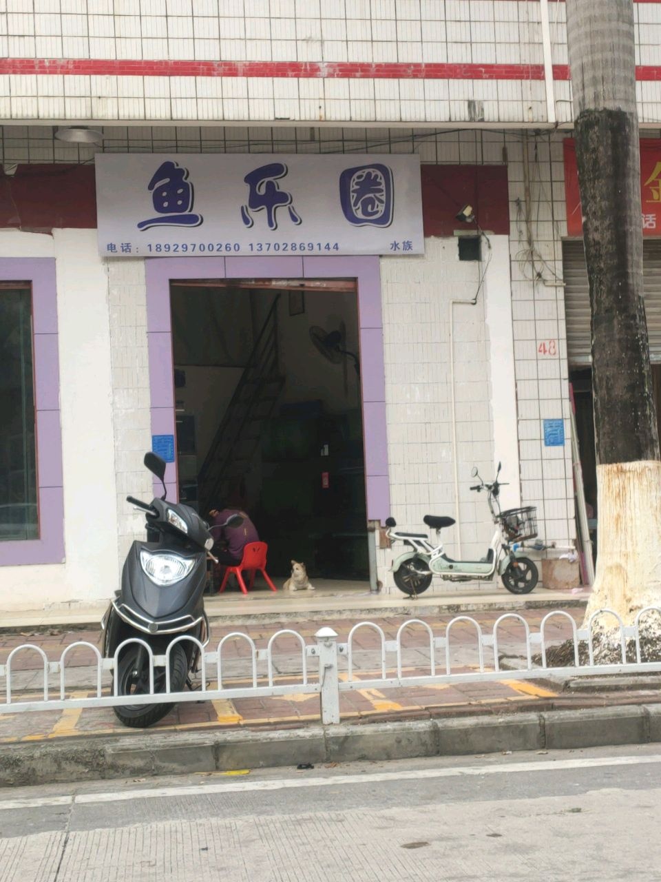 鱼乐圈(文光二街店)