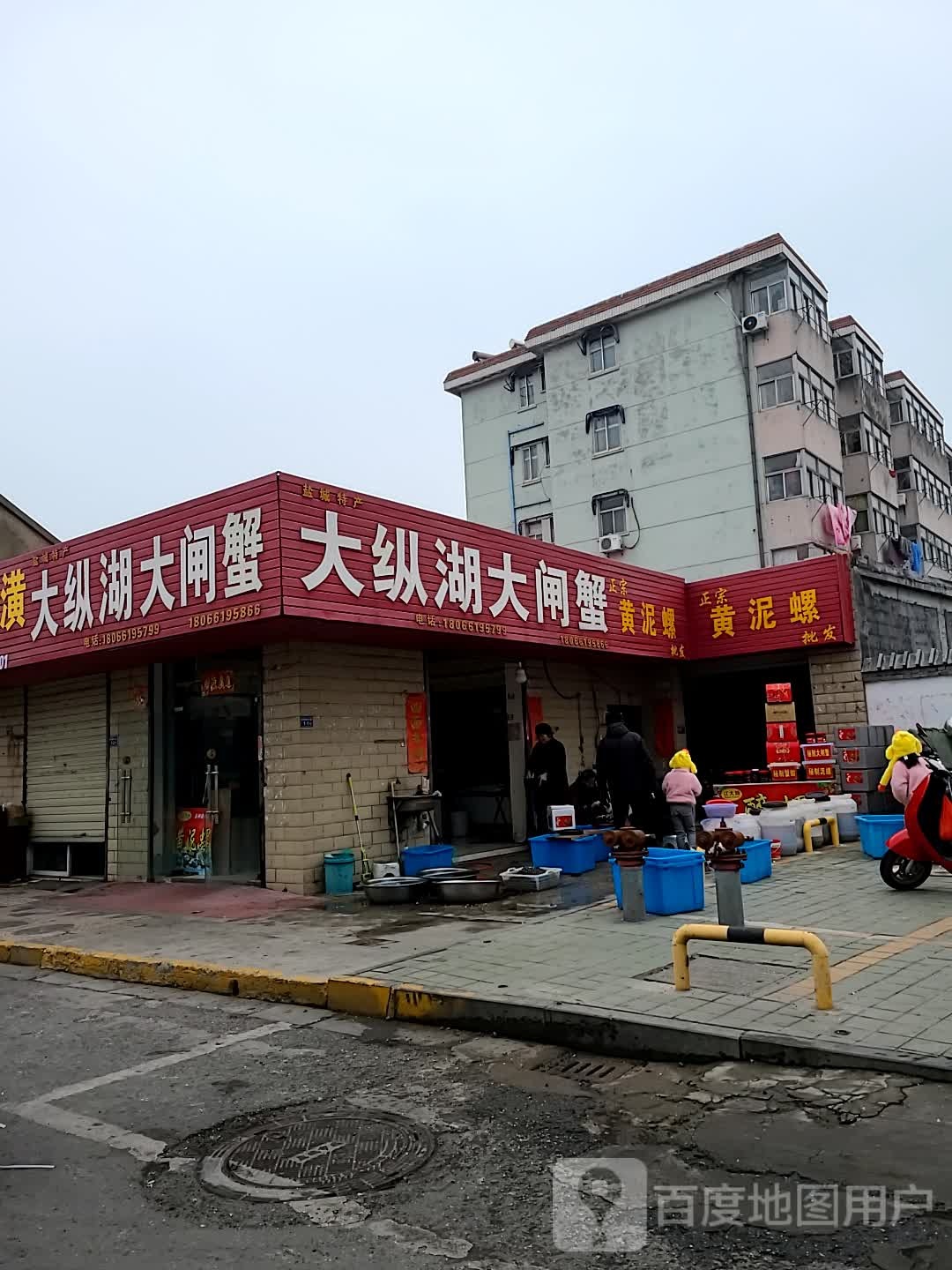 黄泥螺批发