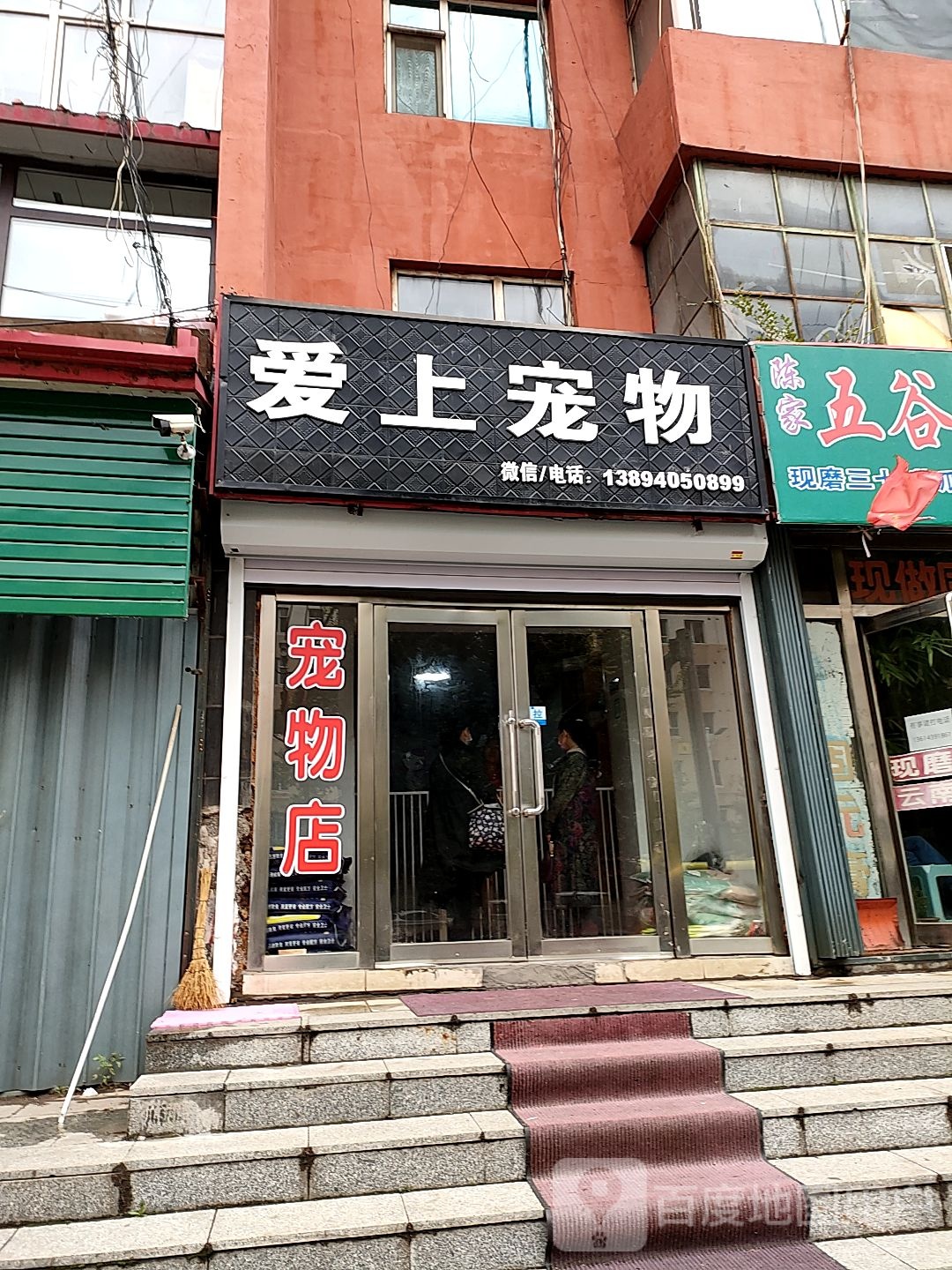 爱上宠物