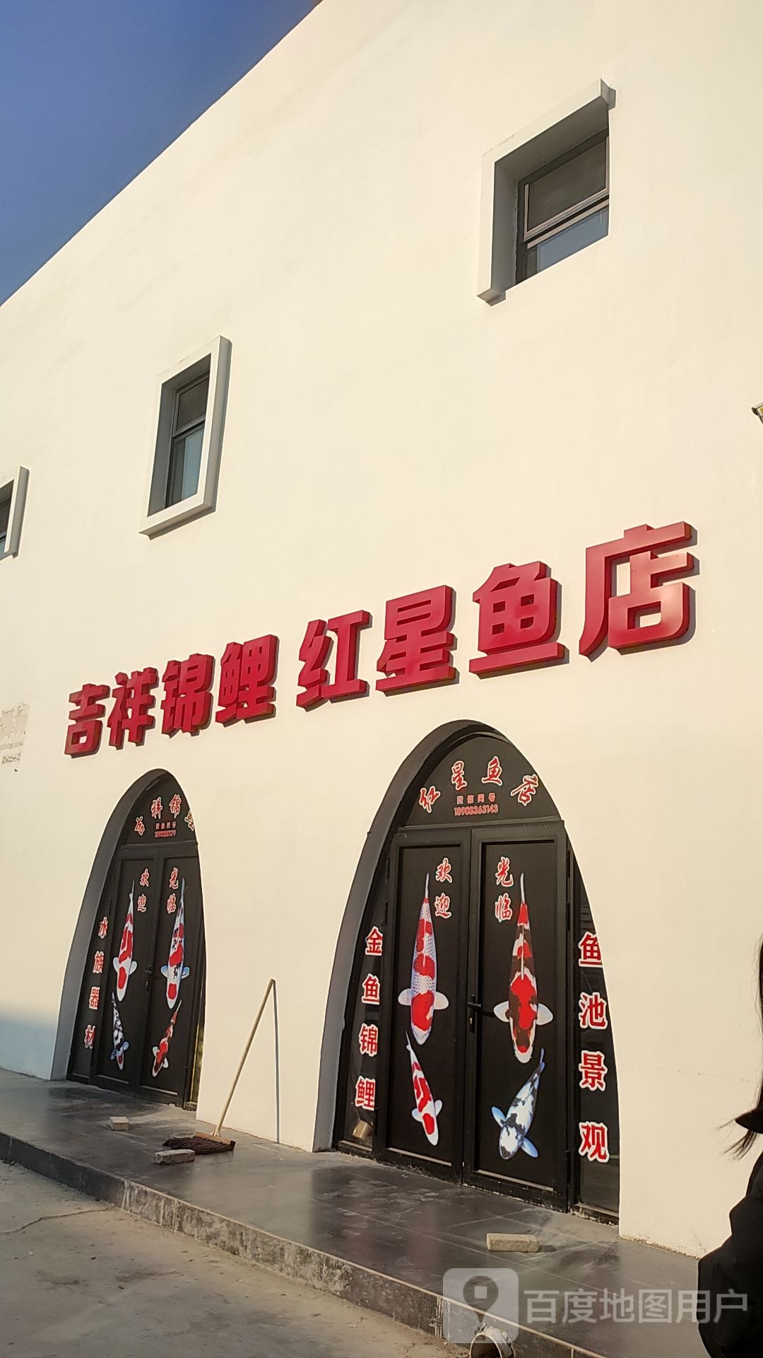 吉祥锦鲤红星鱼店