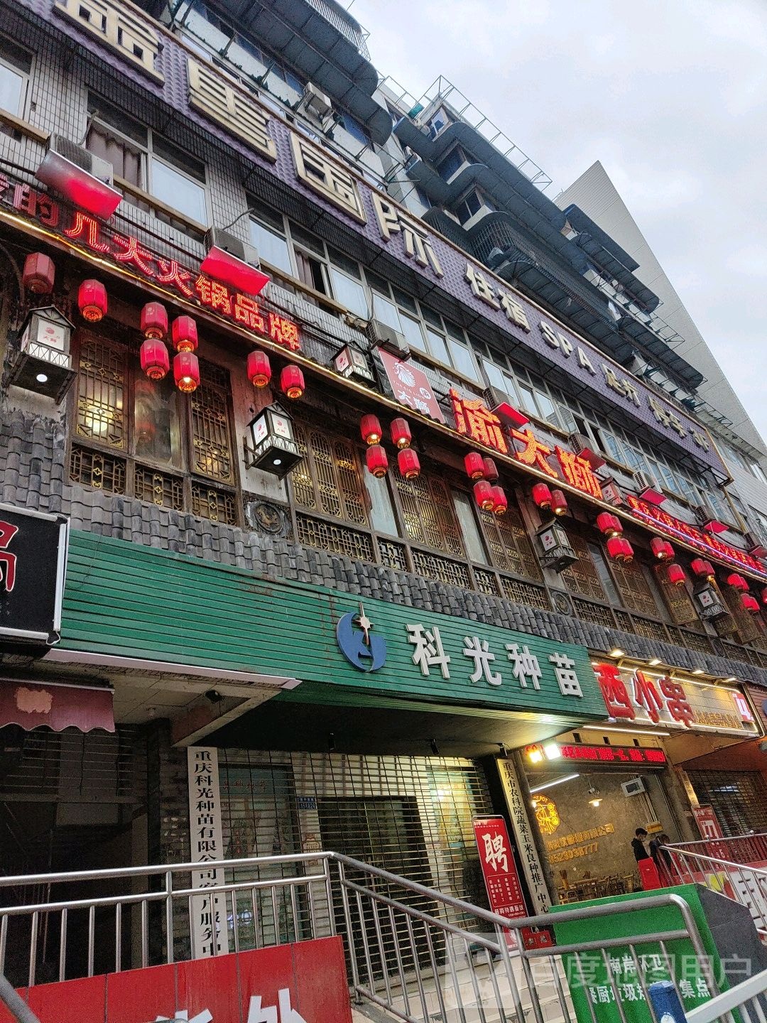 科光育苗